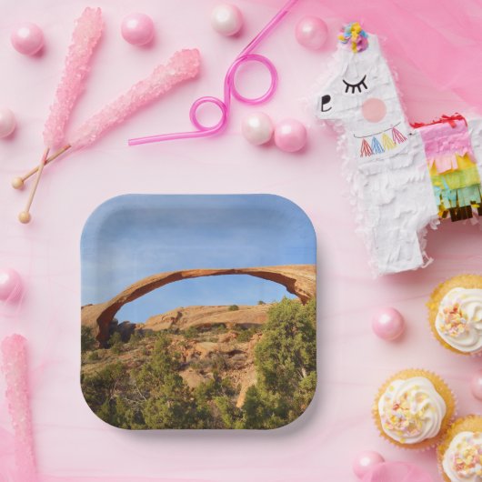 Landschapsarchitectuur in Arches National Park Papieren Bordje (Feest)