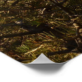 Landschapsarchitectuur in Arches National Park Poster (Hoek)