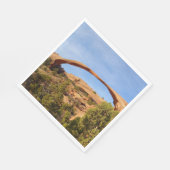 Landschapsarchitectuur in Arches National Park Servet (Hoek)