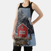 Landschapsbeeld Rorbu Lofoten Bergen Noorwegen Schort (Insitu)