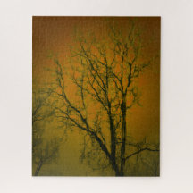 Landschapsboom Glass Art Photograph Sinaasappel Br
