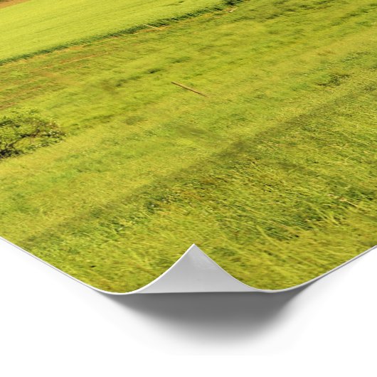 Landschapsfoto Poster (Hoek)