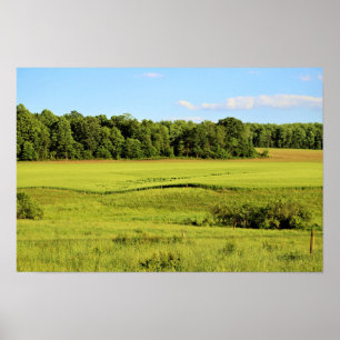Landschapsfoto Poster