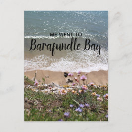 Landschapsfoto van Barafundle Bay Pembrokeshire Wa Briefkaart