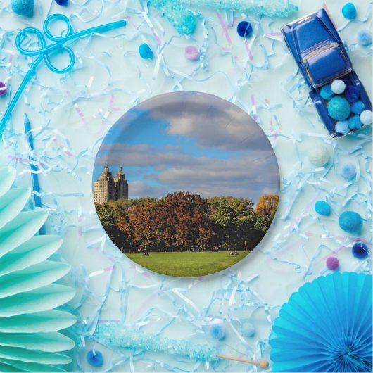 Landschapsfoto van Central Park Papieren Bordje (Feest)