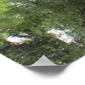 Landschapsfoto van Central Park Poster (Hoek)