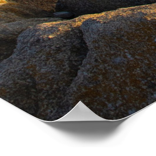 landschapsfoto van de seashore poster (Hoek)