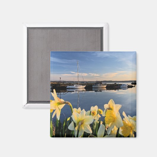 Landschapsfoto van Fife, Schotland Magneet (Voorkant / Achterkant)