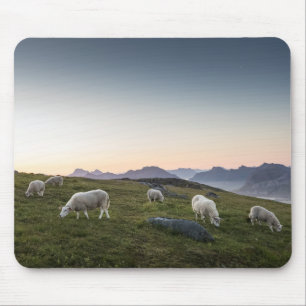 Landschapsfoto van Lofoten Sheep Muismat