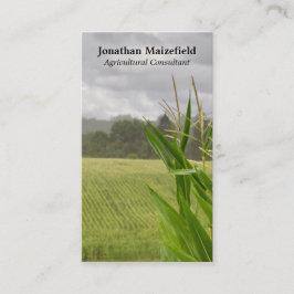 Landschapsfoto van maïs visitekaartje