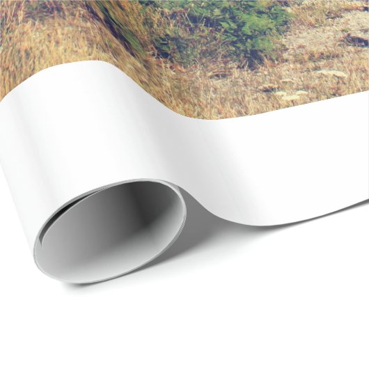  landschapsfotografie cadeaupapier (Rol Hoek)