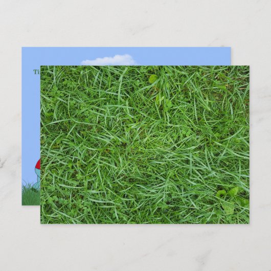 landschapsgras macro aankondigingskaart (Voorkant / Achterkant)