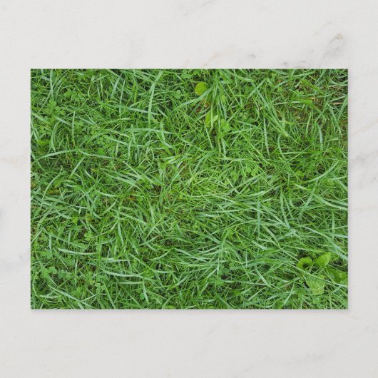 landschapsgras macro aankondigingskaart (Voorkant)