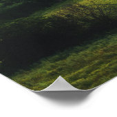 Landschapsgroen: licht geschilderde sereniteit poster (Hoek)