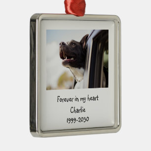 Landschapsgrootte Foto Memorial Keepomwille Pet Do Metalen Ornament