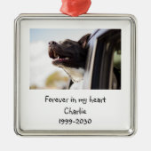 Landschapsgrootte Foto Memorial Keepomwille Pet Do Metalen Ornament (Voorkant)