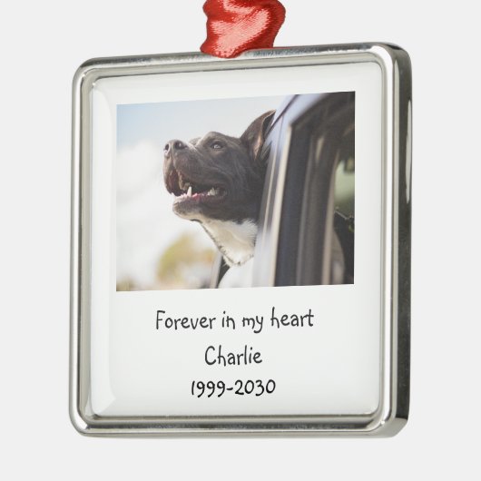 Landschapsgrootte Foto Memorial Keepomwille Pet Do Metalen Ornament (Links)