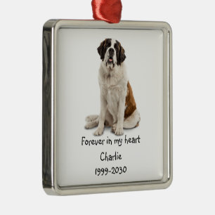 Landschapsgrootte Foto Memorial Keepomwille Pet Do Metalen Ornament
