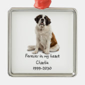 Landschapsgrootte Foto Memorial Keepomwille Pet Do Metalen Ornament (Voorkant)