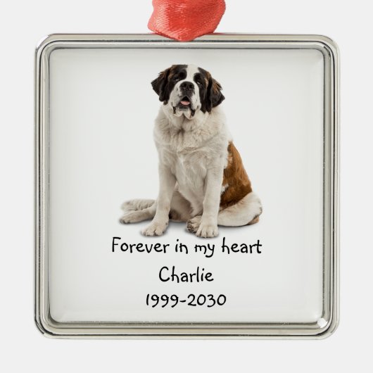 Landschapsgrootte Foto Memorial Keepomwille Pet Do Metalen Ornament (Voorkant)