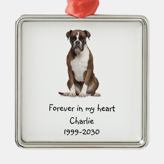 Landschapsgrootte Foto Memorial Keepomwille Pet Do Metalen Ornament (Voorkant)
