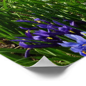 Landschapshelling met vroege lentebloemen poster (Hoek)