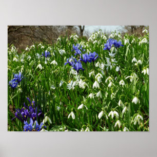 Landschapshelling met vroege lentebloemen poster