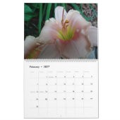 Landschapskalender 2018 kalender (Feb 2027)