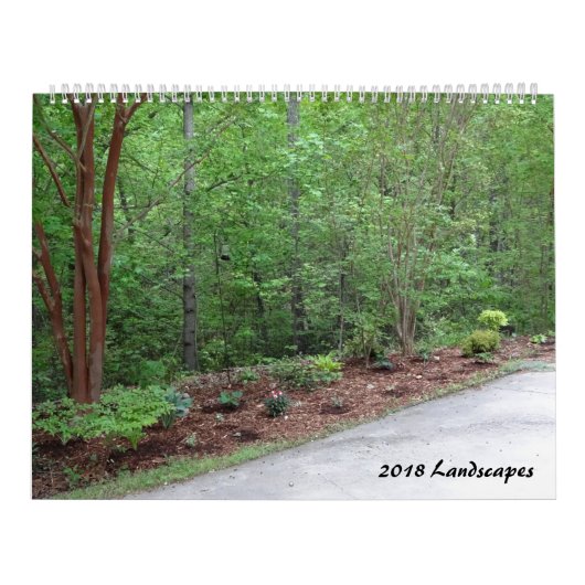 Landschapskalender 2018 kalender (Hoes)