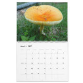 Landschapskalender 2018 kalender (Mar 2027)