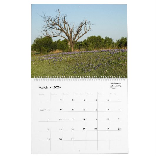 Landschapskalender Kalender (Mar 2026)