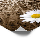 Landschapsmadeliefjes Poster (Hoek)