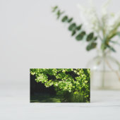 Landschapsontwerp/Visitekaartje van de zorgboom in Visitekaartje (Staand voorkant)