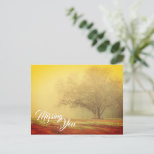 Landschapspostkaart 'Mis je' Briefkaart