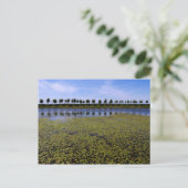 Landschapswater Briefkaart (Staand voorkant)