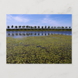 Landschapswater Briefkaart