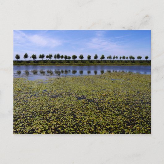 Landschapswater Briefkaart (Voorkant)