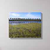 Landschapswater Canvas Afdruk (Voorkant)