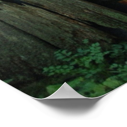 Landschotdeur Poster (Hoek)