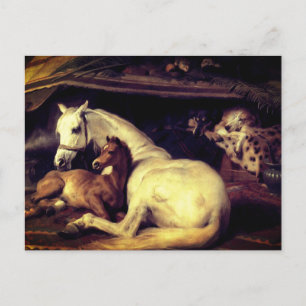 Landseer de Arab Tent Horses Aankondigingskaart