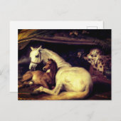 Landseer de Arab Tent Horses Aankondigingskaart (Voorkant / Achterkant)