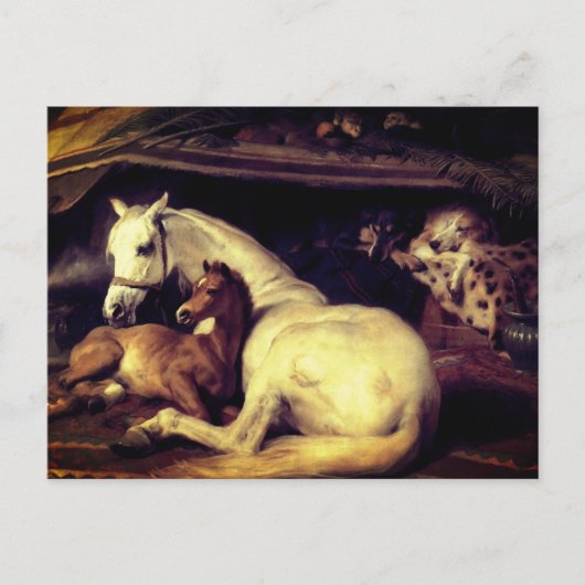 Landseer de Arab Tent Horses Aankondigingskaart (Voorkant)