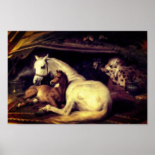 Landseer de Arab Tent Horses Poster (Voorkant)