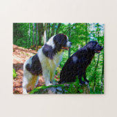 Landseer Dog. Legpuzzel (Horizontaal)