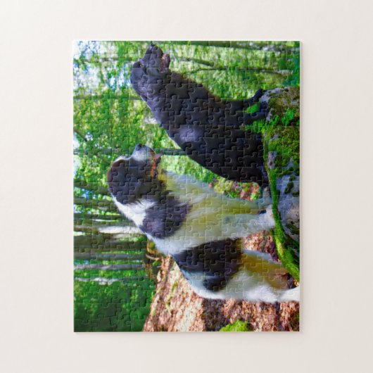 Landseer Dog. Legpuzzel (Verticaal)