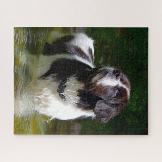 Landseer Dog. Legpuzzel (Horizontaal)