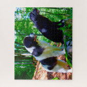 Landseer Dog. Legpuzzel (Verticaal)