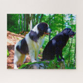 Landseer Dog. Legpuzzel (Horizontaal)