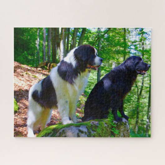 Landseer Dog. Legpuzzel (Horizontaal)