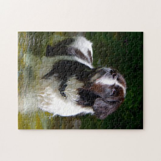 Landseer Dog. Legpuzzel (Horizontaal)